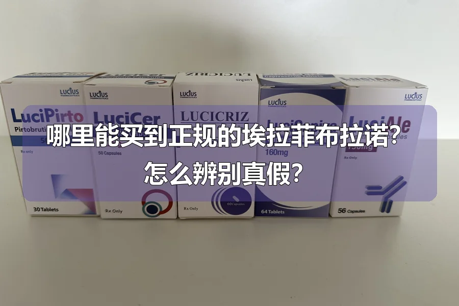 哪里能买到正规的埃拉菲布拉诺?怎么辨别真假?